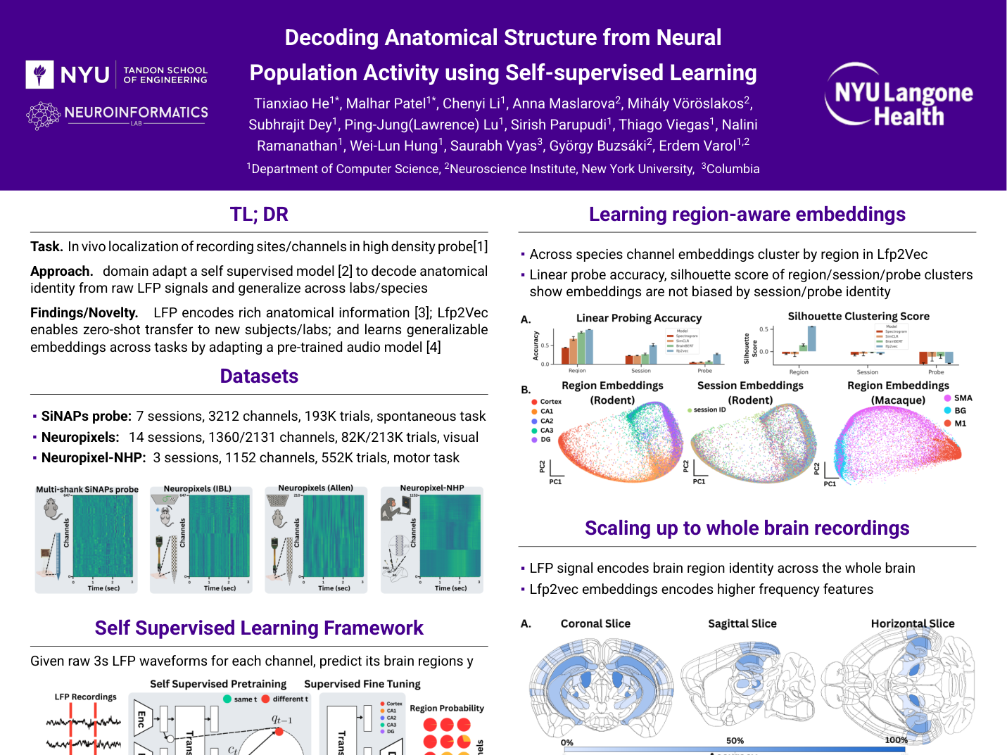Decoding Anatomical Structure from Neural Population Activity using Self-supervised Learning